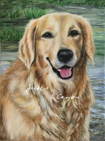 Painting of a Golden Retriever by Susie Caron (c) 2018