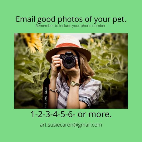 Woman photographing pets.