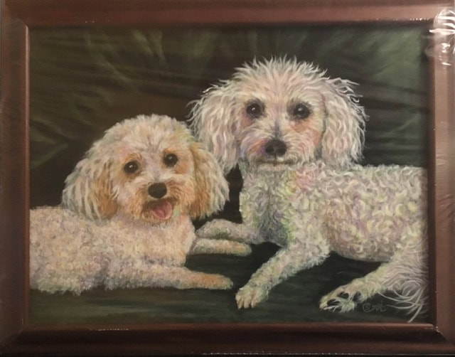 Pet Portrait of 2 Bichon dogs, Peaches and Lucy, 12x16, by Susie Caron